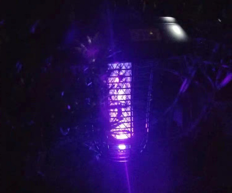 滅蚊燈效果,夜晚亮紫光的戶外滅蚊燈 滅蚊燈效果,夜晚亮紫光的戶外滅蚊燈